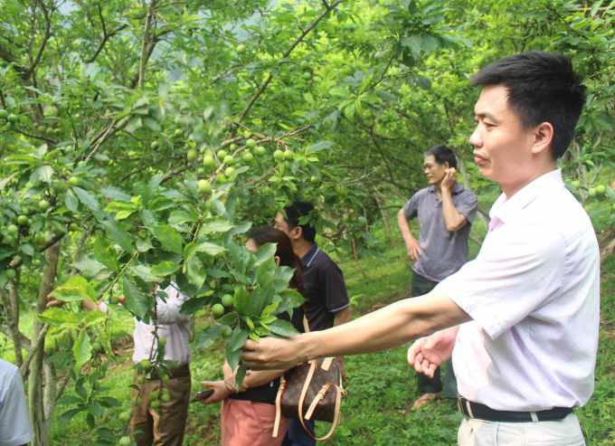 PGS.TS Nguyễn Minh Châu đề xuất nên thí điểm cho các viện được tự chủ, trước mắt về biên chế và chọn vấn đề nghiên cứu. Ảnh: Bá Thắng.